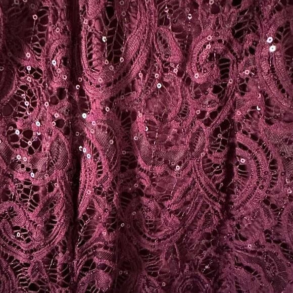 SD Collection Eggplant Lace Long sleeve Dress with Sequins (Size 16) - Picture 8 of 8